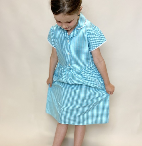 Gingham School Dress